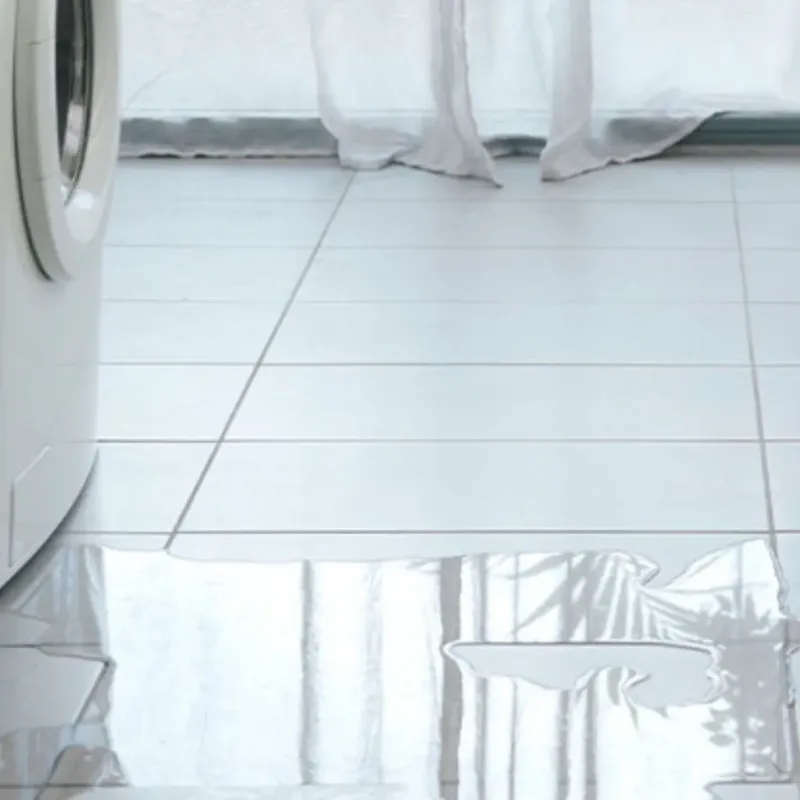 Appliance Leak Cleanup in Depue, IL