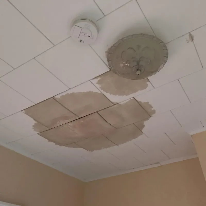 Ceiling Water Damage Repair in Depue, IL